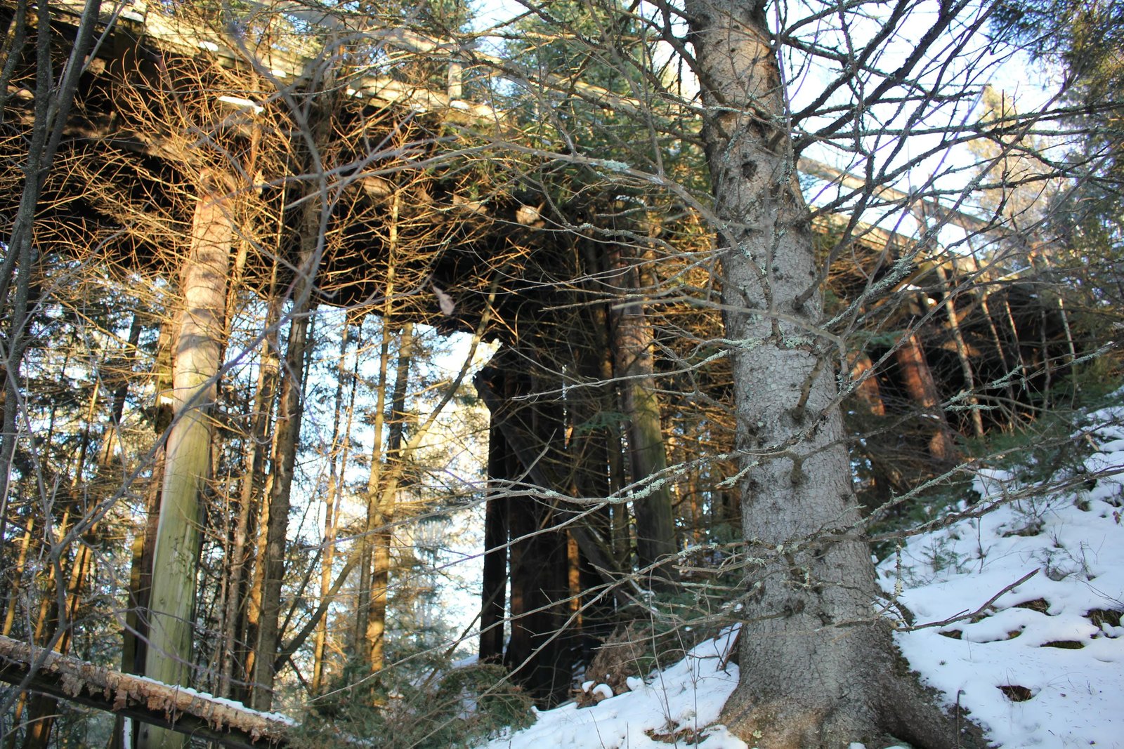 North approach
